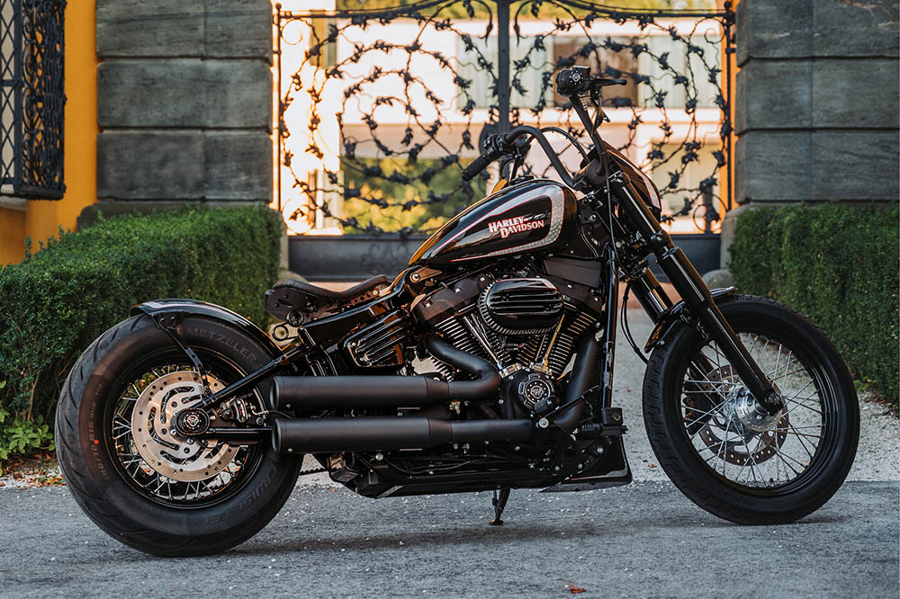 Harley Davidson Cruiser/Softail